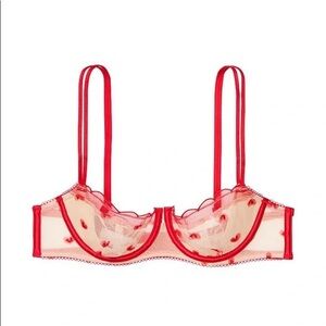 Victoria’s Secret Dream Angels Mesh Bra with Embroidery